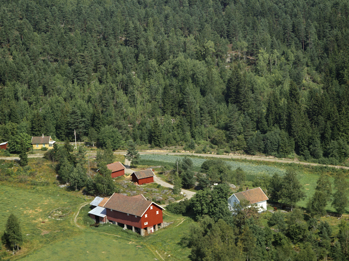 GÅRD (UKJENT) AURSKOGHØLAND Akershusbasen / DigitaltMuseum