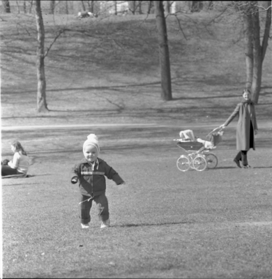 Vår i Slottsparken.