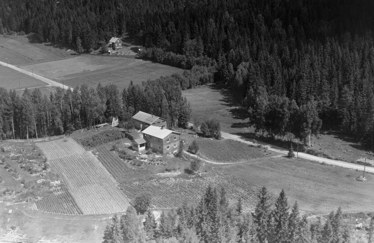 VELTA, SETSKOG - Akershusbasen / DigitaltMuseum